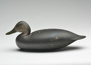 Fine black duck, Nathan Rowley Horner, West Creek, New Jersey, 2nd quarter 20th century.