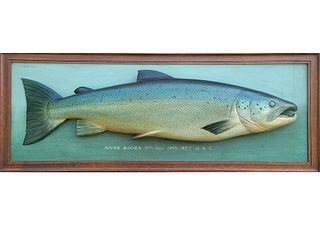 Large and important Atlantic salmon trophy fish plaque, P.D. Malloch Company of Perth.