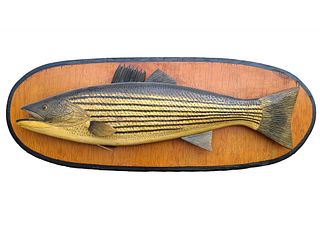 Large and important striped bass, Phillippe Sirois, Arrowsic, Maine, 2nd quarter 20th century.