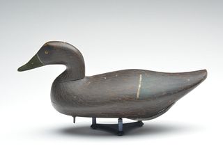 Black duck, Bob McGaw, Havre de Grace, Maryland, 1st quarter 20th century.