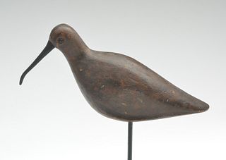 Rare curlew from the Roger’s Rig, Jamaica Bay, New York, last quarter 19th century.