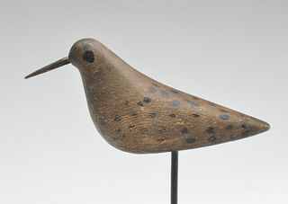 Dowitcher in fall plumage from the Rogers rig, Jamaica Bay, New York, last quarter 19th century.