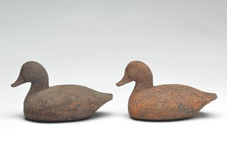 Pair of cast iron ruddy duck wing ducks.