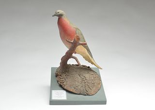 Early decorative passenger pigeon on sassafras branch, 1st quarter 20th century.