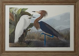 John James Audubon (1785-1851), "Purple Heron," No. 52, Plate 28, Amsterdam edition, presented in a wide distressed frame, H.- 25 3/4 in., W.- 38 1/2 