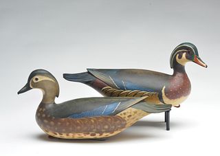 Excellent pair of wood ducks, Bob White, Tullytown, Pennsylvania.