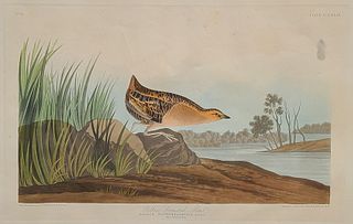 John James Audubon.