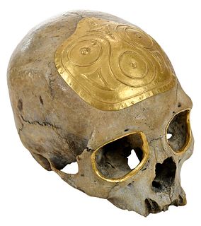 Gold Plated Human Skull