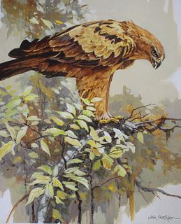 John Swatsley (B. 1937) "Tawny Eagle"