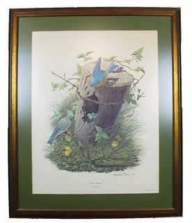Richard Sloan (1935-2007) Amer, Bluebird Print
