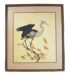 Guy Coheleach (b. 1933) American, Heron Print
