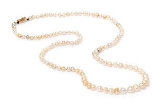 A Graduated Single Strand Natural Pearl Necklace, 10.80 dwts.