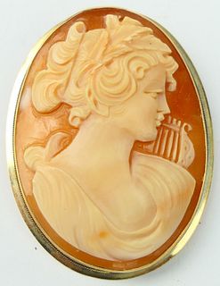 LARGE 14KT Y GOLD SHELL CAMEO