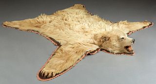 Taxidermied Blonde Black Bear Rug, 20th c., on a felt backing, H.- 70 in., W.- 76 in., D.- 9 in.