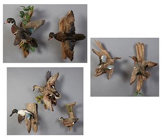 Group of Seven Taxidermied Ducks, 20th c., each mounted on a natural wood branch. (7 Pcs.)