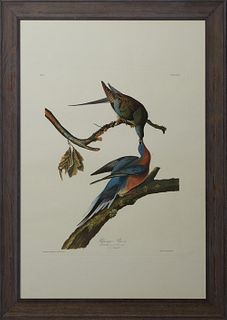 John James Audubon (1785-1851), "Passenger Pigeon," No 13, Plate 62, Amsterdam edition, presented in a wide polychromed frame, H.- 38 3/4 in., W.- 26 