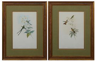 J. Gould and H. C. Richter, "Calothorax Evelinae," and "Lesbia Gracilis," 20th c., pair of hummingbird prints, after the 19th c. originals, presented 