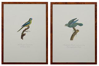 Francois Levaillant (1753-1824), "Female de la Perruche a lache souci," and "La Perruche Edwards," 20th c., pair of colored parrot prints, 67/200, fro