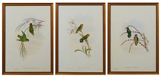 John Gould, "Lorrculus Auranthfrons," "Nasiterra Maforensis," and "Nasturterna Pusio," 20th c., after the 19th c. originals, three colored parakeet pr