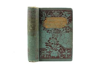 Wonderful Adventure by Land & Sea J. Barnes 1890