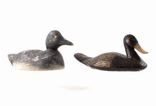 American Black Duck Decoy Pair C. Mid 1900's