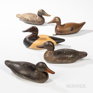Five Carved and Painted Duck Decoys, America, early 19th century, including a canvasback, two green wing teal hens, and two others, in
