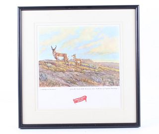 Great Falls Select Antelope Framed Print