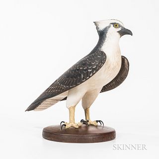 Large Carved and Painted Figure of an Osprey, Frank Finney, Virginia, late 20th century, with carved detail and realistically painted p
