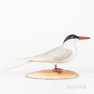 Carved and Painted Figure of a Forster's Tern, Frank Finney, Virginia, late 20th century, with carved detail and realistically painted
