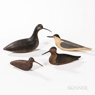 Four Carvings of Shorebirds or Seabirds, 20th century, including a tern, two smaller wading birds, and a large bird with down-curving w