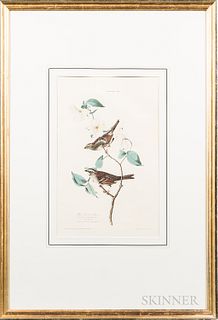 After John James Audubon (1785-1851) White Throated Sparrow, Plate VIII, lithograph by R. Havell, 1838, with hand-coloring, (not examin