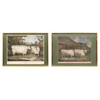 DURHAM TWIN STEERS/THE CASTLE HOWARD OXEN, ENGLAND, 19th century, Framed lithographies, colored by hand, 20.2 x 25.7" (51.5 x 65.5 cm)