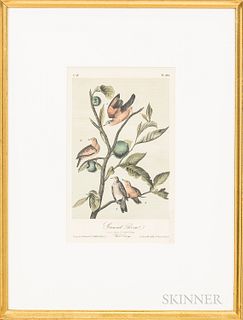 Five Framed Hand-colored Bird Engravings After Audubon, ht. 17, wd. 13 in.