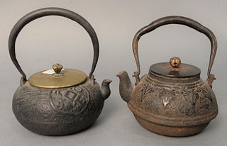 Two early Japanese iron and bronze teapots, one with Asian design to body, bronze cover, signed under cover, the other having band with drop flowers a