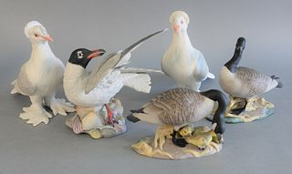 Five Boehm porcelain birds, titles include: Laughing Gull, Tumbler Pigeons, and Canada Geese, all three stamped to the underside, each ht. 8 1/2".