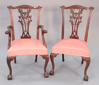 Set of ten mahogany chippendale style chairs, very clean upholstery, 39-1/2" x 19" x 21.