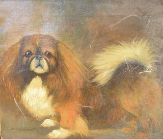 R.A.V. Hamilton (19th Century), "A Pekinese", oil on canvas, signed lower left, 20" x 24". Provenance: Rogers Co. (label on reverse). Mark Lawson Anti