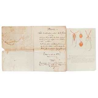 Alzate y Ramírez, José Antonio de. Memoria sobre la Naturaleza y Cultivo de la Grana. Méx, 1779. Manuscrito. 1 lámina.