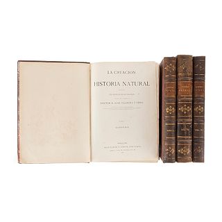 Vilanova y Piera, Juan. La Creación. Historia Natural... Barcelona: Montaner y Simon, 1872, 74 - 76. Tomos I, V, VI, VIII. Piezas: 4.