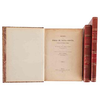 Durán, Diego. Historia de las Indias de Nueva España y Islas de Tierra Firme. México, 1867-1880. Piezas: 3.