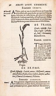 Amatus Lusitanus, pseud. di Joao Rodrigues de Castelo Branco - In Dioscoridis Anazarbei de Medica Materia libros quinque