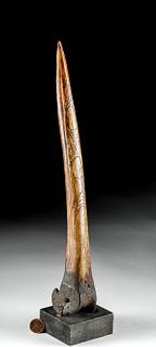 Early 20th C. Papua New Guinea Cassowary Bone Dagger