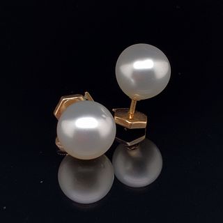 18K South Sea Pearls Stud Earrings