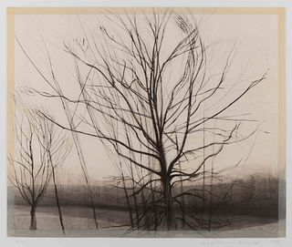 Sylvia Plimack Mangold 
(American, b. 1938)
The Pin Oak at The Pond, 1986