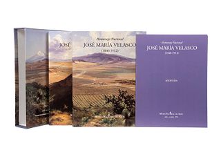 Altamirano, Piolla, María Elena. José María Velasco: Paisajes de Luz, Horizontes de Modernidad. México, 1993.1a. ed. Piezas: 2.