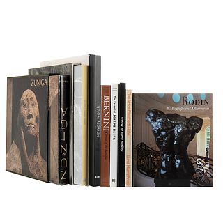 Libros sobre Escultura: Javier Marín, Xawery Wolski, Francisco Zúñiga, Auguste Rodin, Joseph Beuys, Elisabeth Frink y Bernini. Pzas: 8.