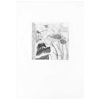 JOSEP GUINOVART, Untitled, Signed and dated 76, Etching 24 / 45, 9.6 x 9.6" (24.5 x 24.5 cm), Label