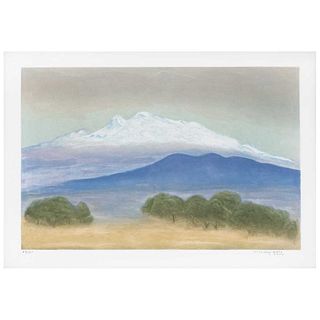 LUIS NISHIZAWA, Untitled, Signed, Aquatint on print 69 / 100, 14.1 x 21.8" (36 x 55.5 cm)