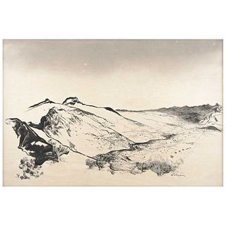 LUIS NISHIZAWA, Untitled, Signed, Ink on paper, 23.6 x 35.4" (60 x 90 cm)
