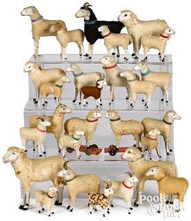 Twenty-seven German stick leg wooly sheepand rams